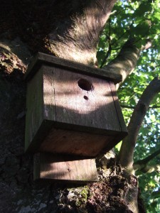 Habitat Management & Biodiversity Bird nesting box