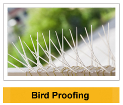 Bird Proofing wildlife management