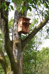 Nesting box